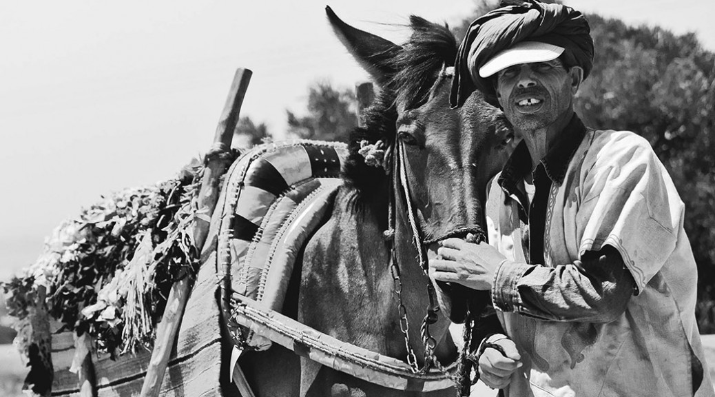 THUMB_MAROC-3